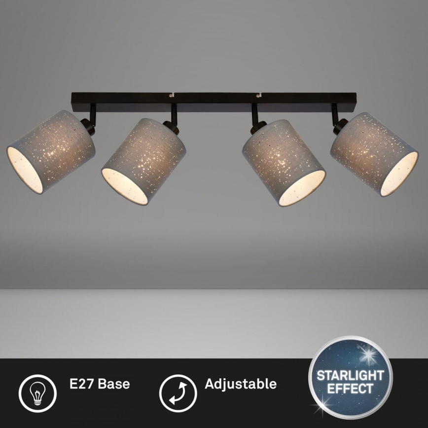 Briloner 2078-044 - Akcentinis apšvietimas SPOTLIGHT 4xE27/25W/230V pilka/juoda