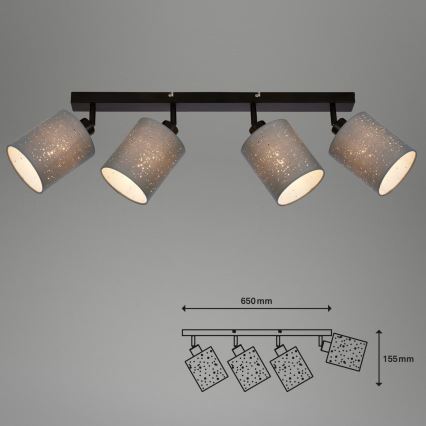 Briloner 2078-044 - Akcentinis apšvietimas SPOTLIGHT 4xE27/25W/230V pilka/juoda