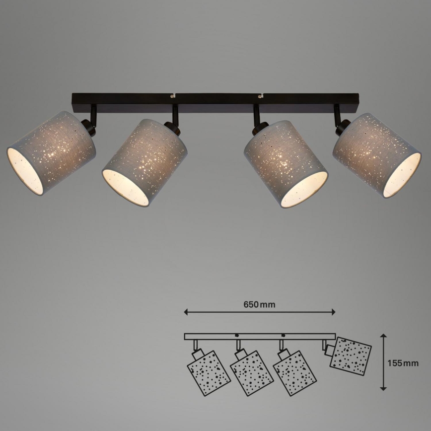 Briloner 2078-044 - Akcentinis apšvietimas SPOTLIGHT 4xE27/25W/230V pilka/juoda