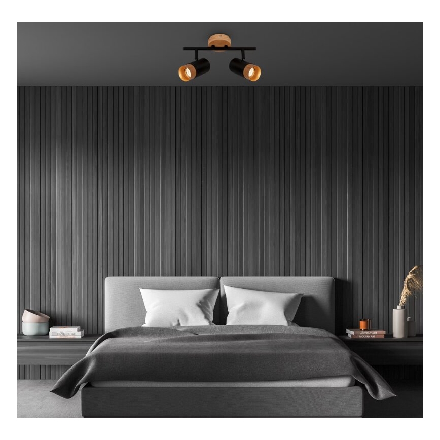 Briloner 2144025 - Akcentinis apšvietimas SPOT 2xGU10/9W/230V