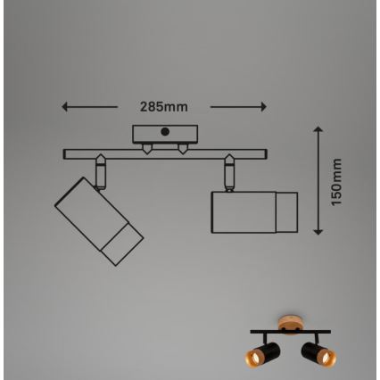 Briloner 2144025 - Akcentinis apšvietimas SPOT 2xGU10/9W/230V