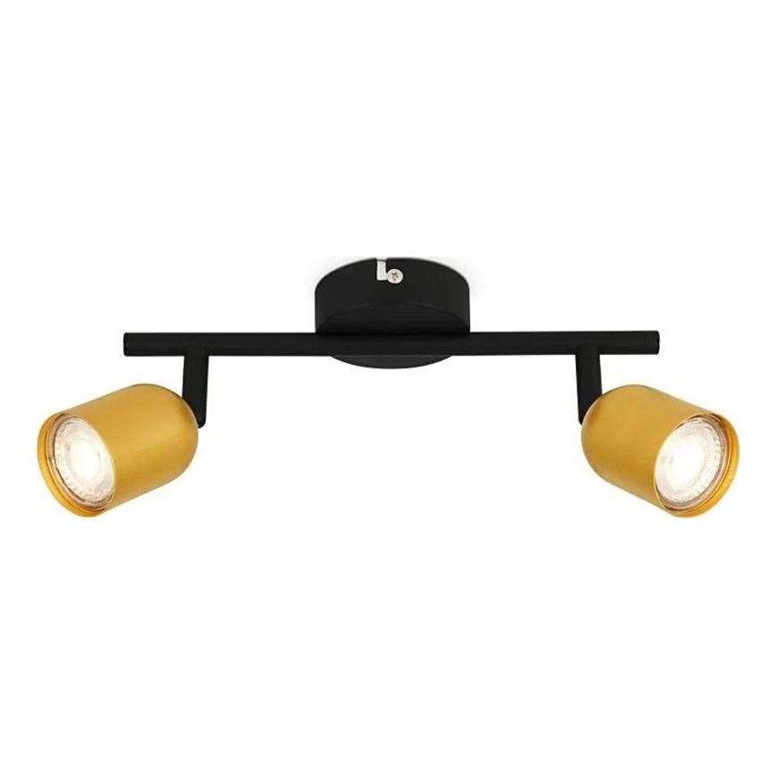 Briloner 2145-027 - Taškinis šviestuvas 2xGU10/9W/230V