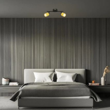 Briloner 2145-027 - Taškinis šviestuvas 2xGU10/9W/230V