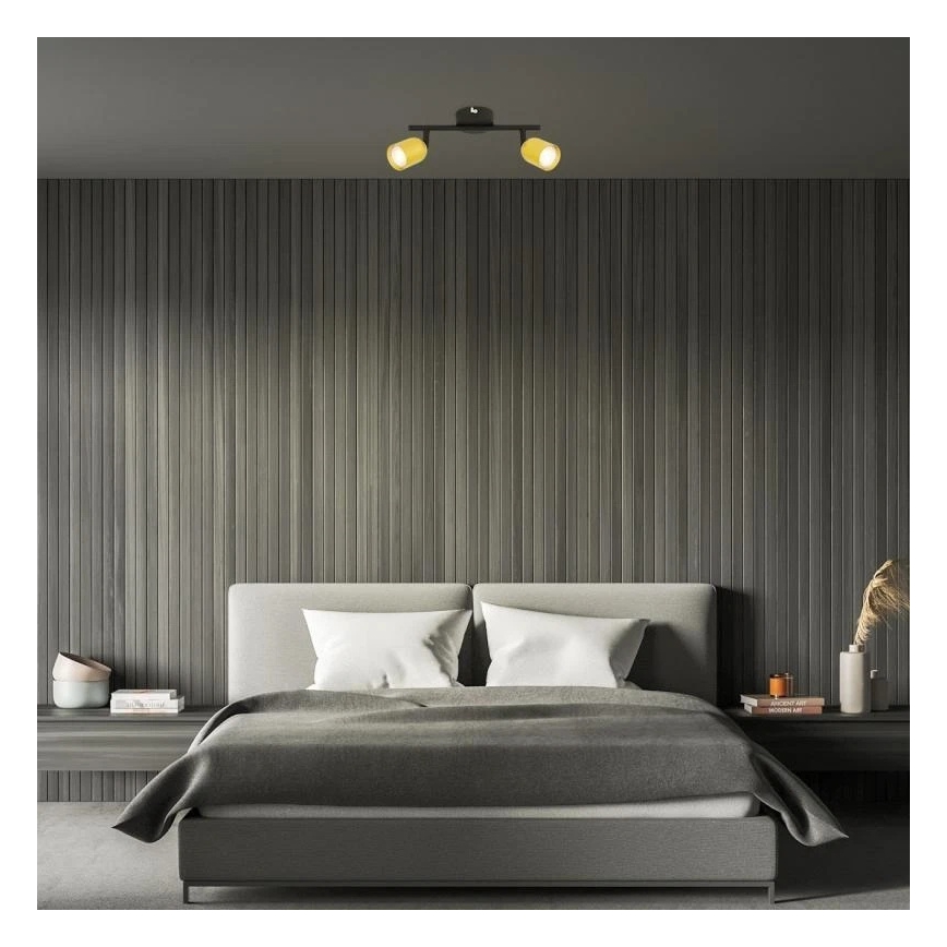 Briloner 2145-027 - Taškinis šviestuvas 2xGU10/9W/230V