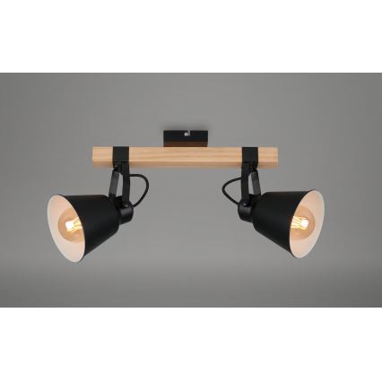 Briloner 2406-025 - Akcentinis apšvietimas 2xE27/40W/230V
