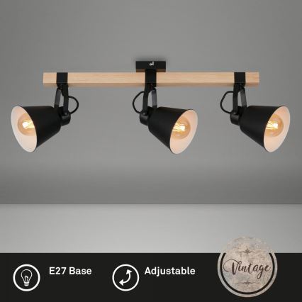 Briloner 2406-035 - Akcentinis apšvietimas SPOT 3xE27/40W/230V