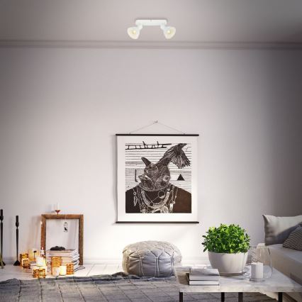 Briloner 2674-026 - Akcentinis apšvietimas RETRO 2xE14/25W/230V balta