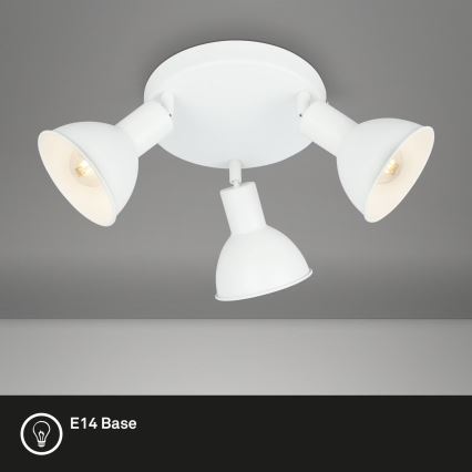 Briloner 2674-036 - Akcentinis apšvietimas RETRO 3xE14/25W/230V balta
