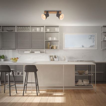 Briloner 2742-025 - Akcentinis apšvietimas SPOTLIGHT 2xE27/40W/230V juoda/ruda