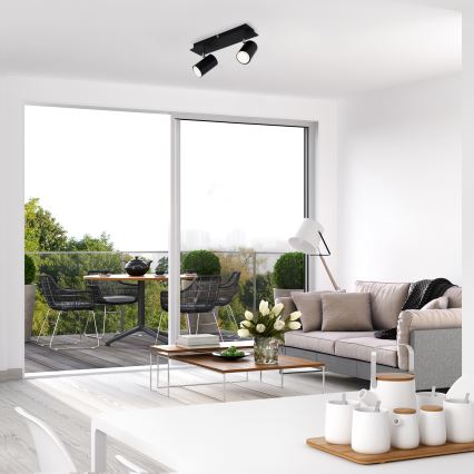 Briloner 2857-025 - Akcentinis šviestuvas SPOT 2xGU10/40W/230V juodas