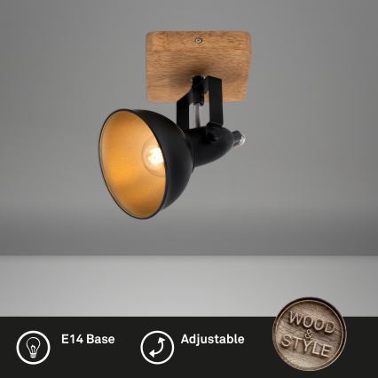Briloner 2901-015 - Akcentinis apšvietimas SPOT 1xE14/25W/230V