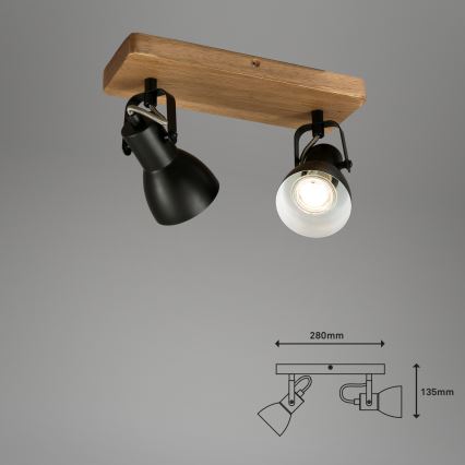 Briloner 2902-025 - Akcentinis apšvietimas SPOT 2xGU10/35W/230V