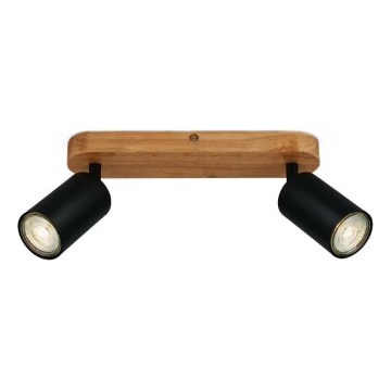 Briloner 2922-025 - Akcentinis apšvietimas SPOT 2xGU10/9W/230V