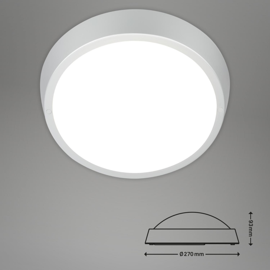Briloner 3018-014 - LED lubinis vonios šviestuvas HAGEN LED/24W/230V IP44 balta