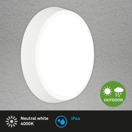 Briloner 3018-016 - LED lubinis lauko šviestuvas HAGEN LED/24W/230V 4000K IP44 balta