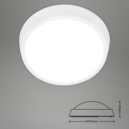 Briloner 3018-016 - LED lubinis lauko šviestuvas HAGEN LED/24W/230V 4000K IP44 balta