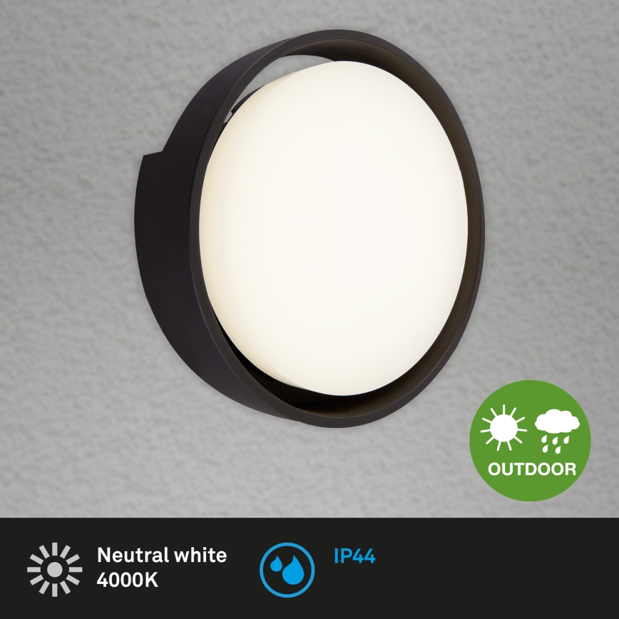 Briloner 3019-015 - LED Lauko sieninis šviestuvas GENUA LED/18W/230V IP44 juodas
