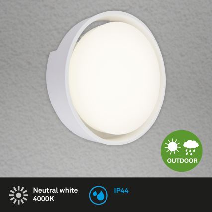 Briloner 3019-016 - LED sieninis lauko šviestuvas GENUA LED/18W/230V IP44 balta