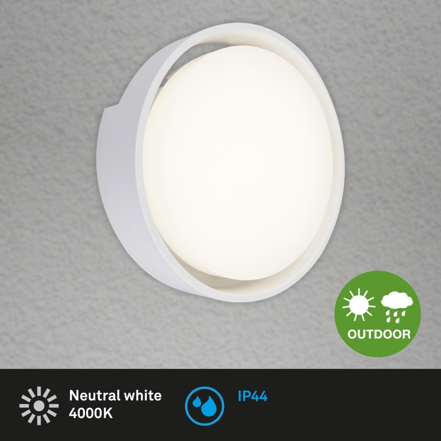Briloner 3019-016 - LED sieninis lauko šviestuvas GENUA LED/18W/230V IP44 balta