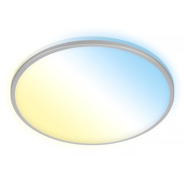 Briloner 3064-014 - LED reguliuojamas lubinis šviestuvas IVY LED/24W/230V Wi-Fi Tuya skersmuo 33,3 cm + nuotolinis pultas