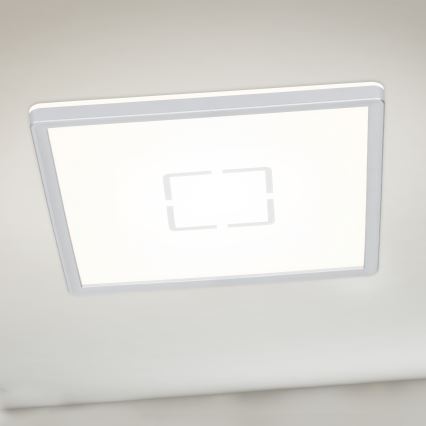 Briloner 3174-014 - LED Lubinis šviestuvas FREE LED/12W/230V 19x19 cm
