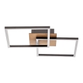 Briloner 3210-014 - LED Pritemdomas lubinis šviestuvas FRAME 2xLED/11W/230V ruda