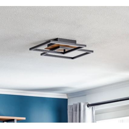 Briloner 3210-014 - LED Pritemdomas lubinis šviestuvas FRAME 2xLED/11W/230V ruda