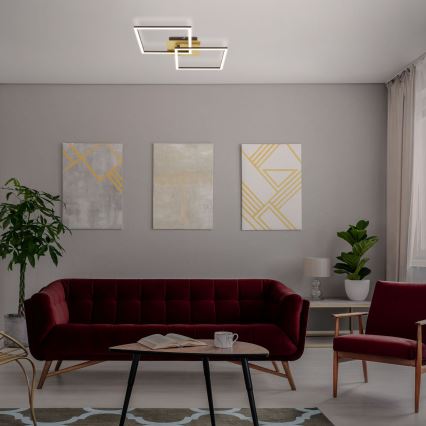 Briloner 3210-017 - LED reguliuojamas lubų šviestuvas FRAME 2xLED/11W/230V auksinės spalvos