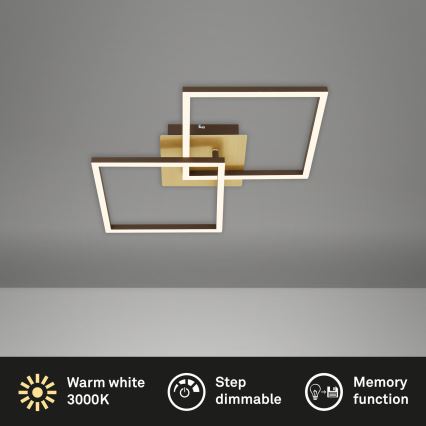 Briloner 3210-017 - LED reguliuojamas lubų šviestuvas FRAME 2xLED/11W/230V auksinės spalvos