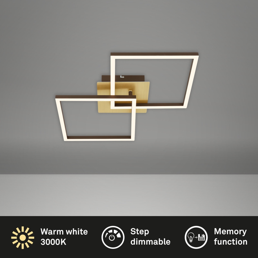 Briloner 3210-017 - LED reguliuojamas lubų šviestuvas FRAME 2xLED/11W/230V auksinės spalvos