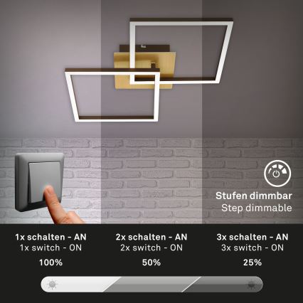 Briloner 3210-017 - LED reguliuojamas lubų šviestuvas FRAME 2xLED/11W/230V auksinės spalvos