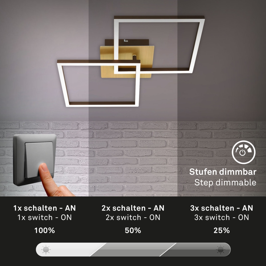 Briloner 3210-017 - LED reguliuojamas lubų šviestuvas FRAME 2xLED/11W/230V auksinės spalvos