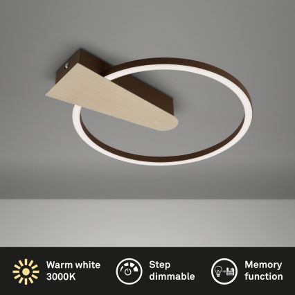 Briloner 3542017 - LED Pritemdomas lubinis šviestuvas NICO LED/12W/230V auksas