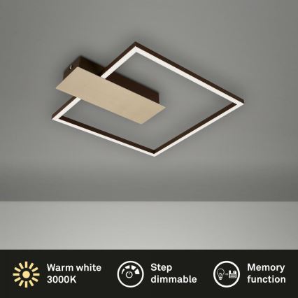 Briloner 3544-017 - LED Pritemdomas lubinis šviestuvas NICO LED/12W/230V auksas