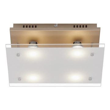 Briloner 3586-047 - LED lubinis šviestuvas SMART GOLD 4xGU10/4W/230V