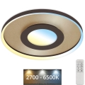 Briloner 3640017 - LED reguliuojamas lubų šviestuvas FRAME LED/25W/230V 2700-6500K + nuotolinio valdymo pultas