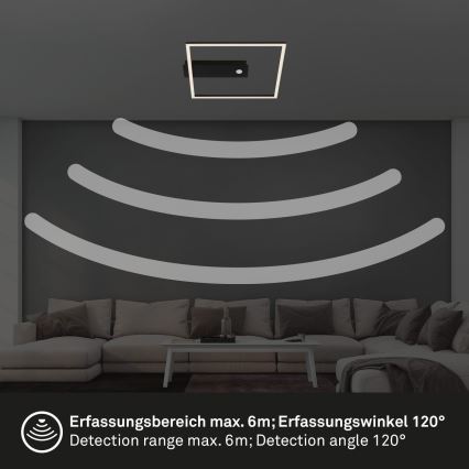 Briloner 3770-015 - LED lubų šviestuvas su judesio ir sutemų jutikliu FRAME LED/14W/230V 3000K 30x32 cm juodas