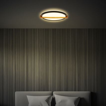 Briloner 3844015 - LED lubinis šviestuvas LED/18W/230V, skersmuo 31,5 cm