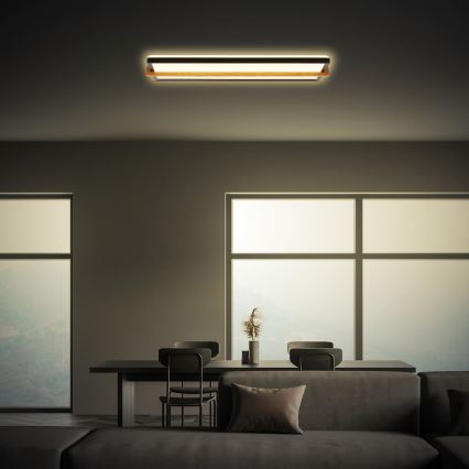 Briloner 3846015 - LED lubinis šviestuvas REMSA LED/22W/230V 3000K 60,5x20 cm juodas