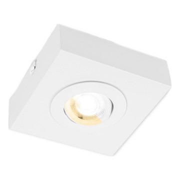 Briloner 3996016 - LED Akcentinis šviestuvas CTS LED/4W/230V 2700/4000K balta