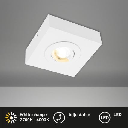 Briloner 3996016 - LED Akcentinis šviestuvas CTS LED/4W/230V 2700/4000K balta