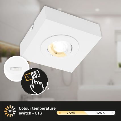 Briloner 3996016 - LED Akcentinis šviestuvas CTS LED/4W/230V 2700/4000K balta