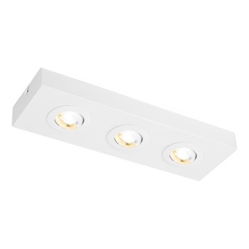 Briloner 3996036 - LED Akcentinis šviestuvas CTS 3xLED/4W/230V 2700/4000K balta