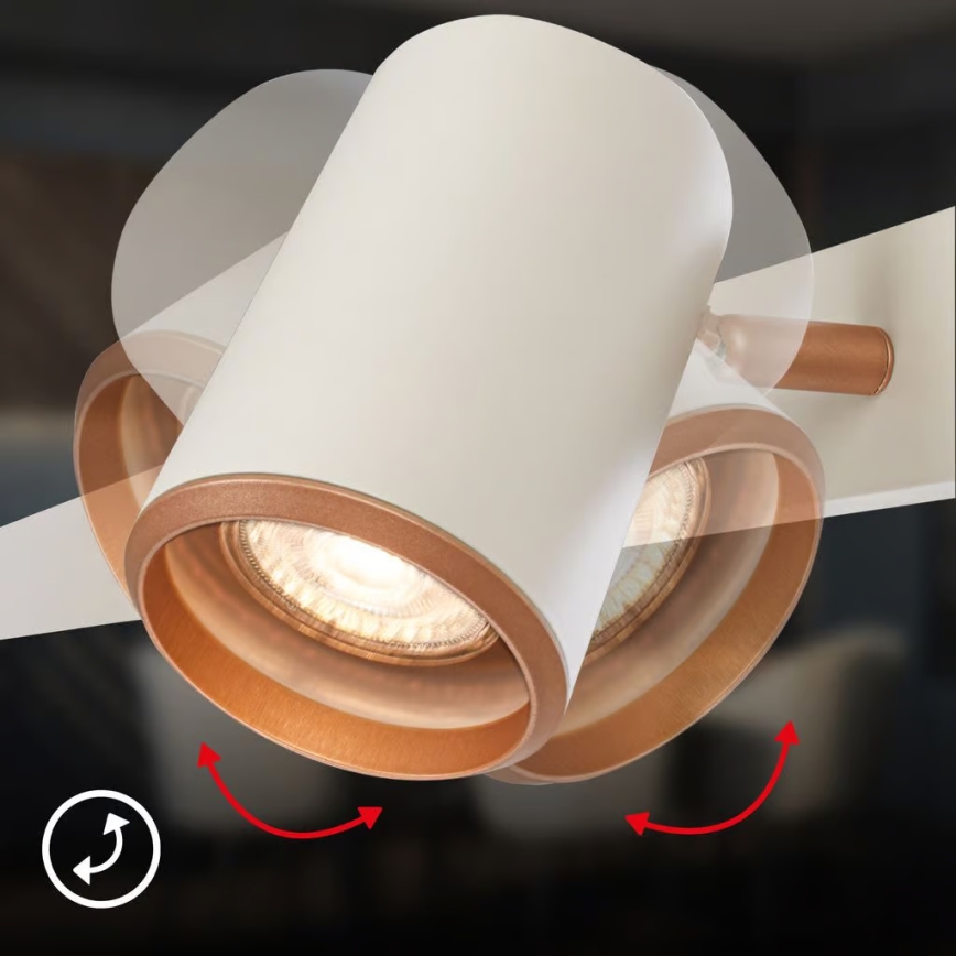 Briloner 4058064 - Pakabinama liustra ERA 6xGU10/10W/230V kreminė