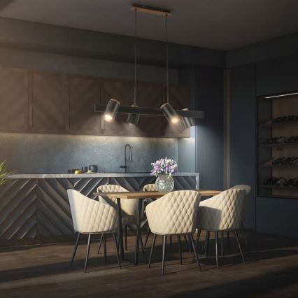 Briloner 4059045 - Pakabinamas šviestuvas ERA ant laido 4xGU10/10W/230V juodas