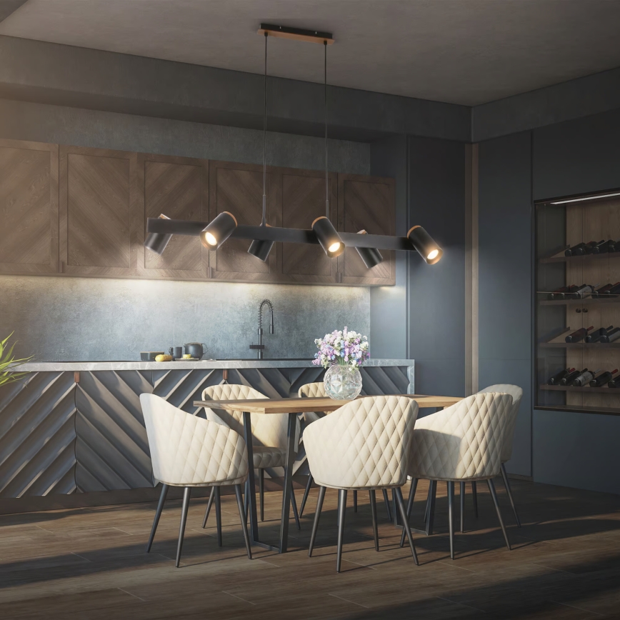 Briloner 4059065 - Pakabinamas šviestuvas su laidu ERA 6xGU10/10W/230V juodas