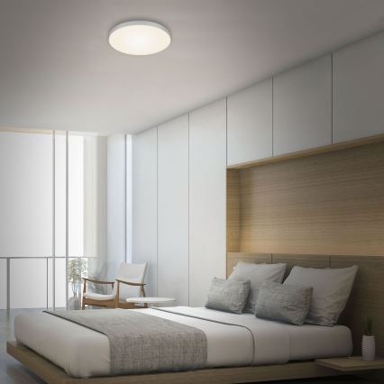 Briloner 7066-014 - LED lubinis šviestuvas FLAME LED/21W/230V 3000K sidabras diametras 28,7 cm