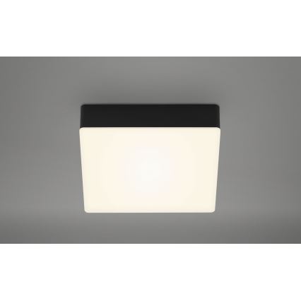 Briloner 7069-015 - LED lubinis šviestuvas LED/11W/230V juoda