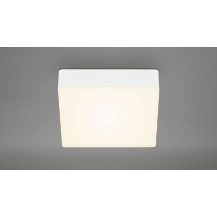 Briloner 7069-016 - LED lubinis šviestuvas LED/11W/230V balta