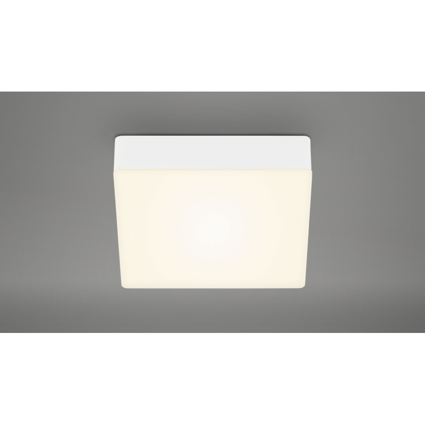 Briloner 7069-016 - LED lubinis šviestuvas LED/11W/230V balta